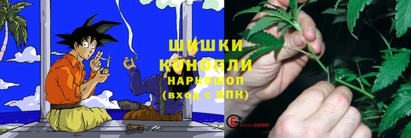 apvp Верхний Тагил