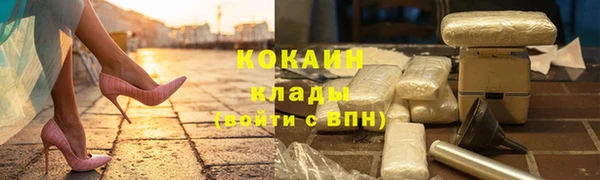 spice Богданович