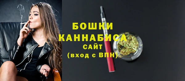 spice Богданович
