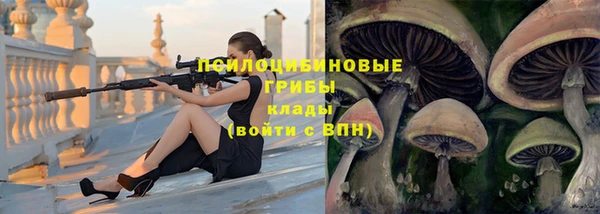 apvp Верхний Тагил
