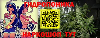 индика Кумертау