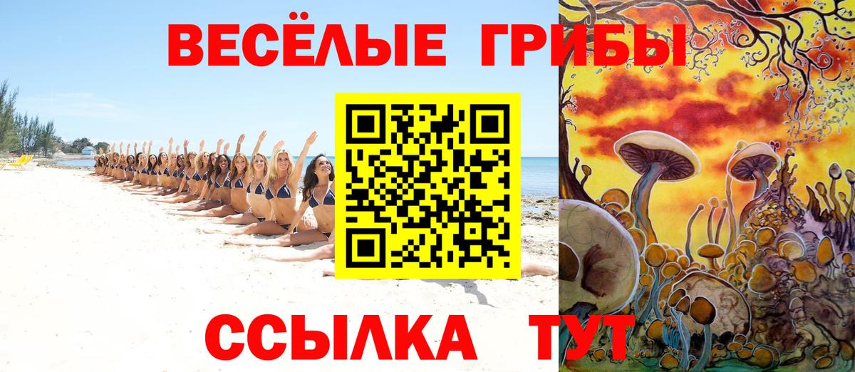 Гусев  Псилоцибиновые грибы Cubensis  Вход с VPN  Галлюциногенные грибы GOLDEN TEACHER 